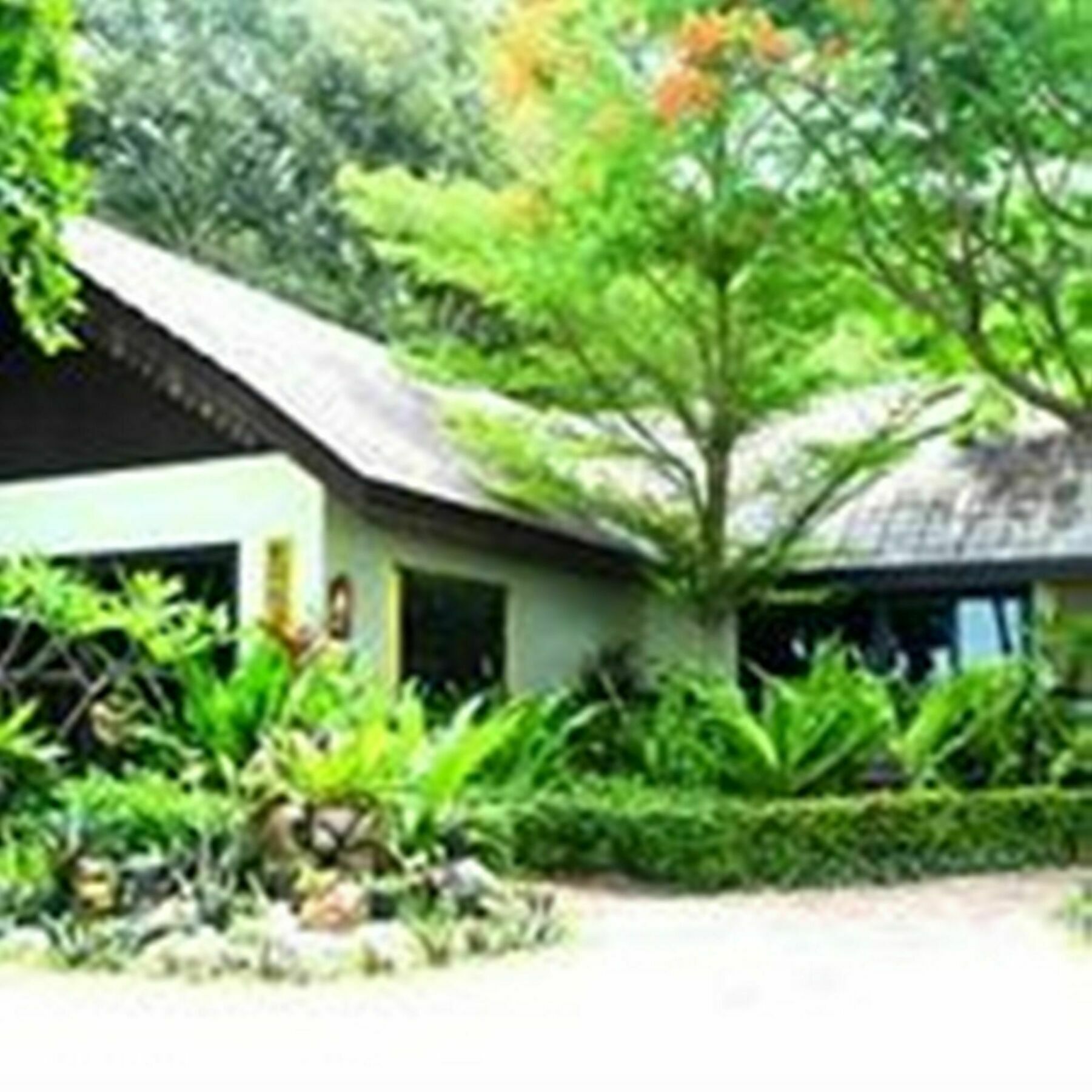 Paradise Pearl Bungalows Phi Phi Don Exterior foto